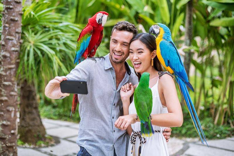 bali-bird-park-ubud