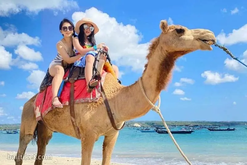 bali camel ride