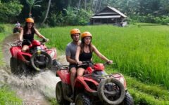bayad atv ride 4