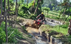 bongkasa atv ride 4 bongkasa atv ride 4