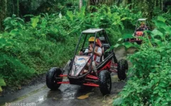 bongkasa bali jungle buggy utv ride 3