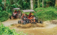 bongkasa bali jungle buggy utv ride 5