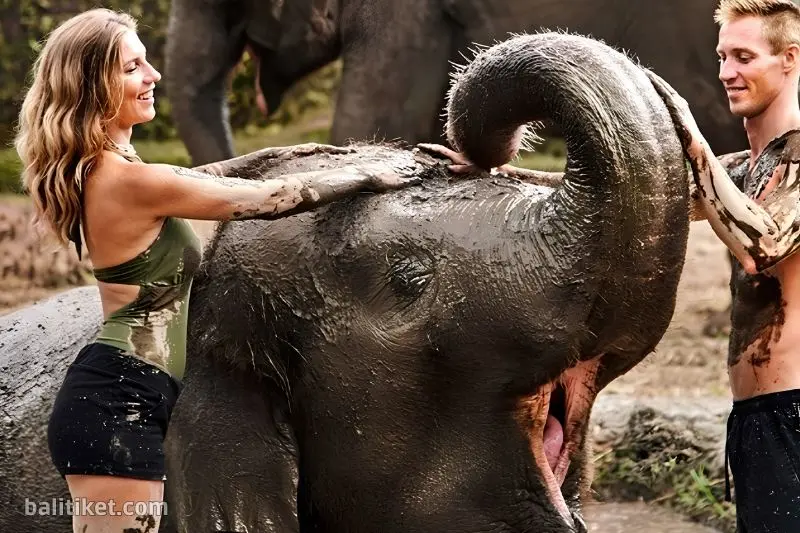 elephant mud fun 1