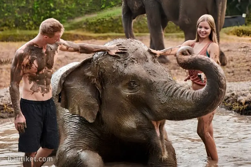 elephant mud fun 2