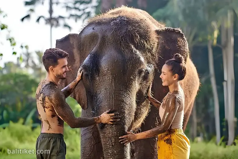 elephant mud fun 3