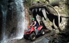 green bali atv ride 4 green bali atv ride 4