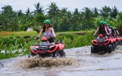 green bali atv ride 5 green bali atv ride 5
