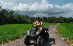 ozzy bali atv 2 ozzy bali atv 2