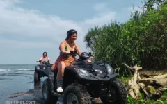 ozzy bali atv 3 ozzy bali atv 3