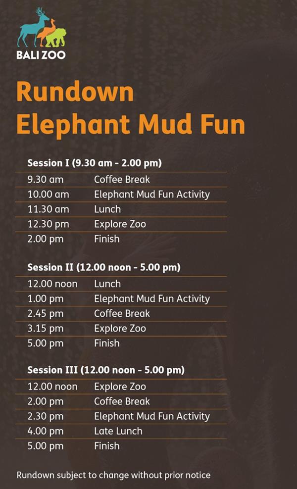 rundown-mud-balizoo